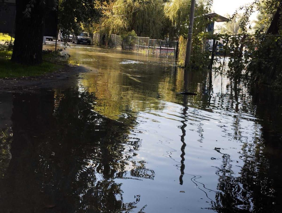 WhatsApp Image 2024-09-26 at 16.02.18_8508ea05.jpg