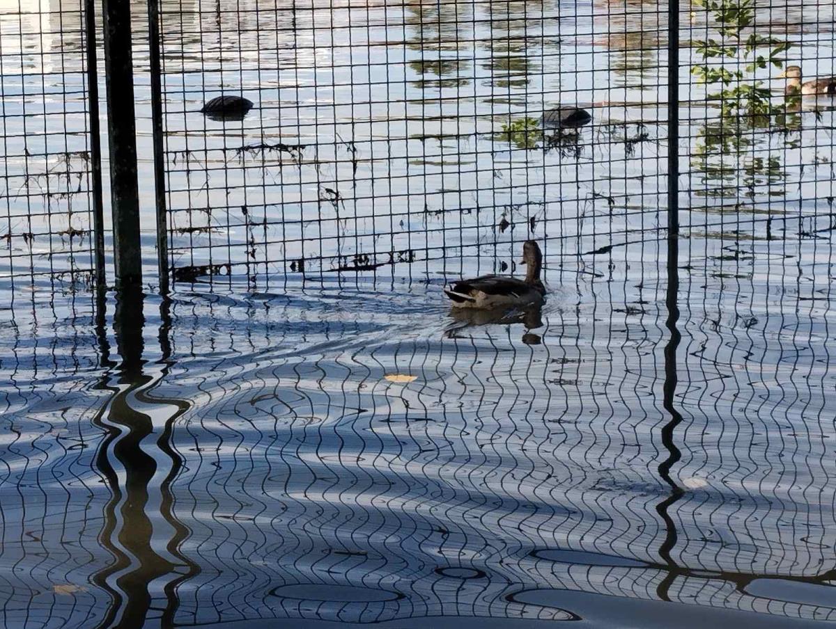 WhatsApp Image 2024-09-26 at 16.02.18_f446f198.jpg