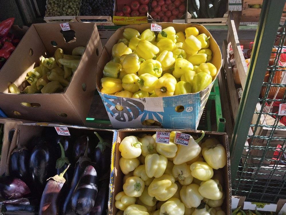 Festival zimnice  (6).jpg