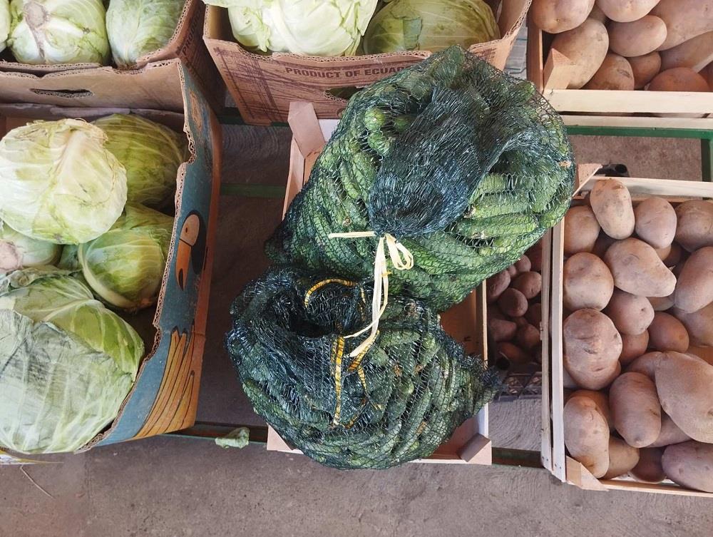 Festival zimnice  (8).jpg