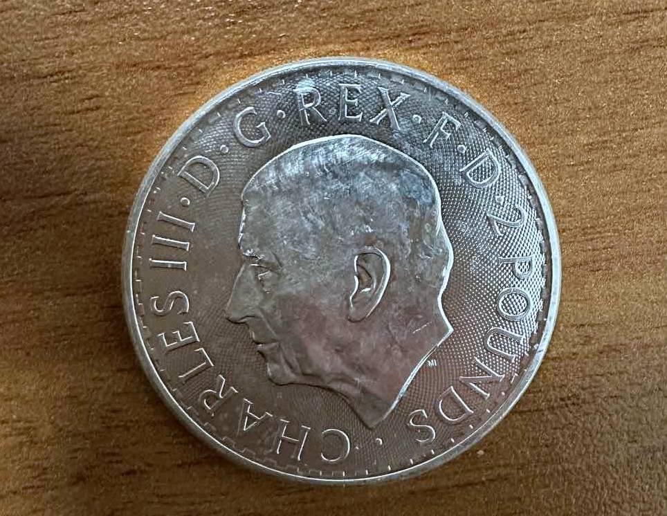 6. zaplenjeni srebrnjak Merdare .jpg