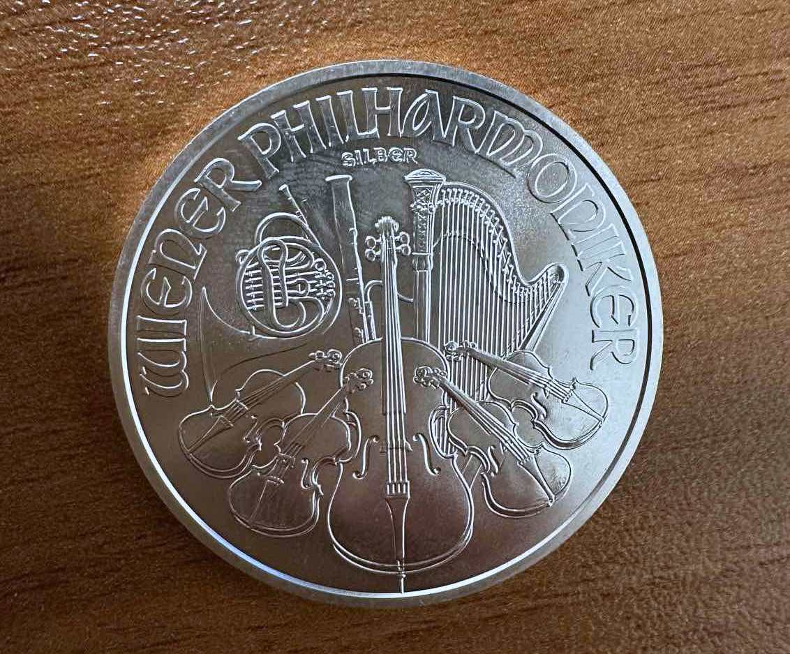 5. zaplenjeni srebrnjak .jpg