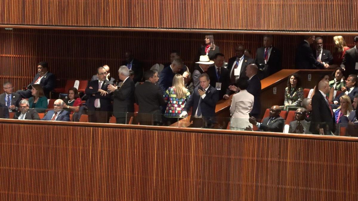 WhatsApp Image 2024-10-01 at 8.53.25 PM (1).jpeg