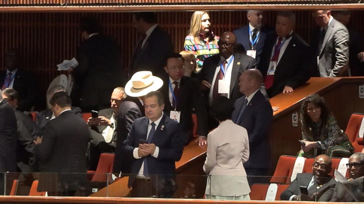 WhatsApp Image 2024-10-01 at 8.53.24 PM (1).jpeg