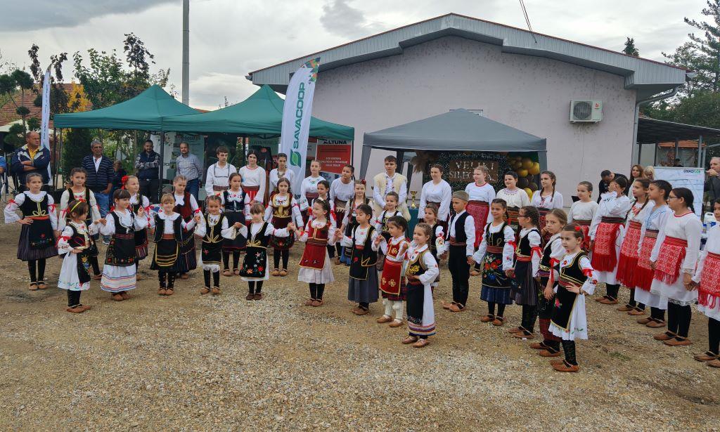 V. Šiljegovac 2.jpg