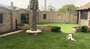 Dom Aleksandre Subotić