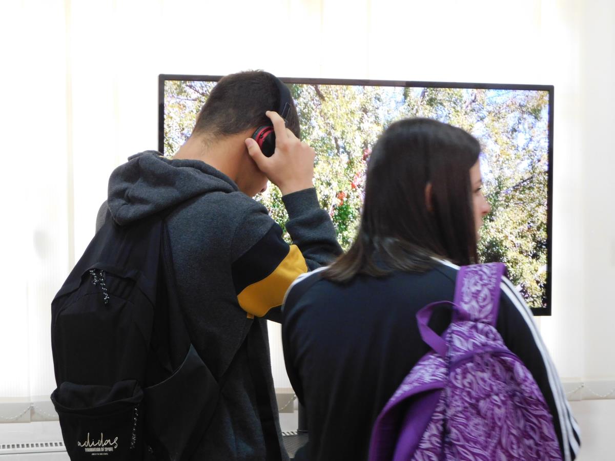 LOZNICA -Slušanje ptica.JPG