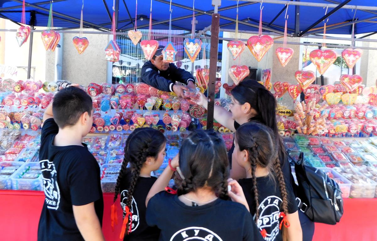 LOZNICA -Vole slatko.JPG