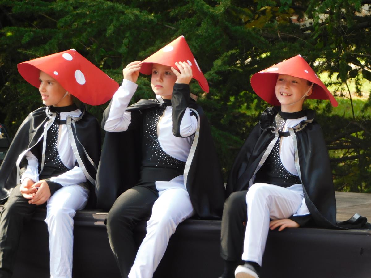 BANJA KOVILJAČA -Male gljive.JPG