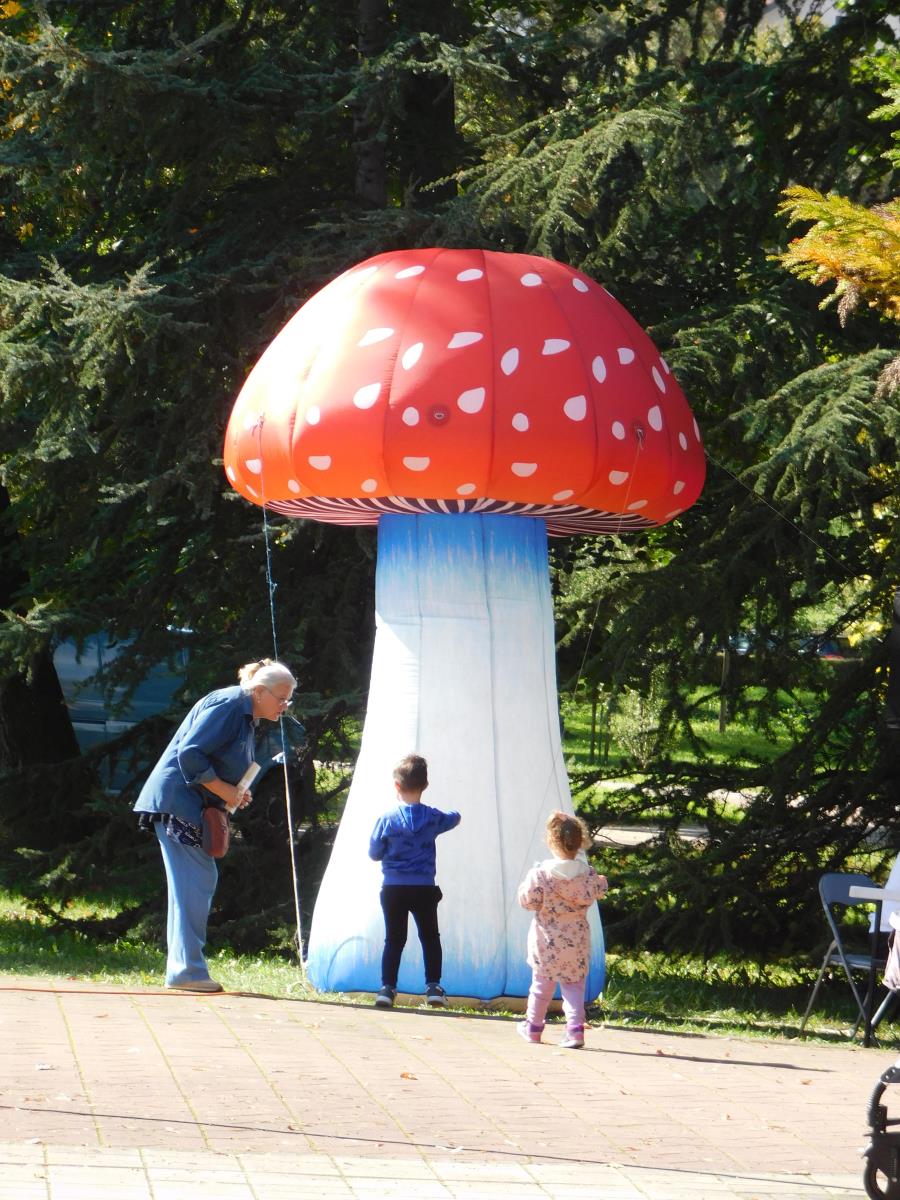 BANJA KOVILJAČA -Nikla gljiva.JPG