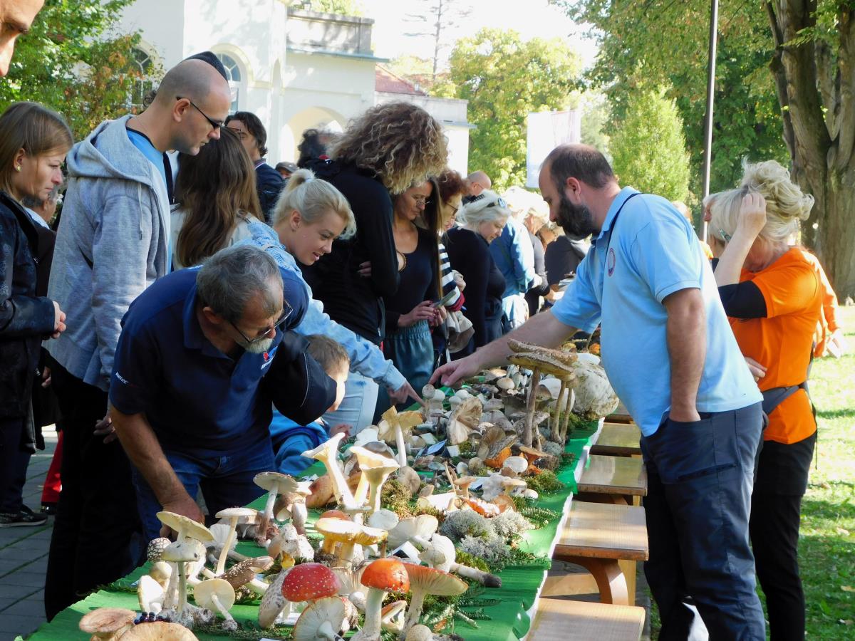 BANJA KOVILJAČA -Interesovanje.JPG