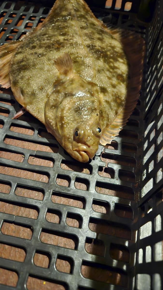 0601 privatna arhiva.JPG