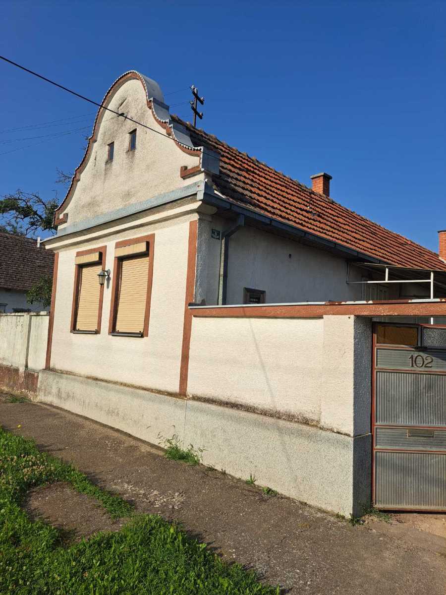 6- Aleksandar Maksic.jpg