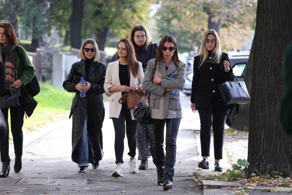 WhatsApp Image 2024-10-17 at 9.56.15 AM (3).jpeg