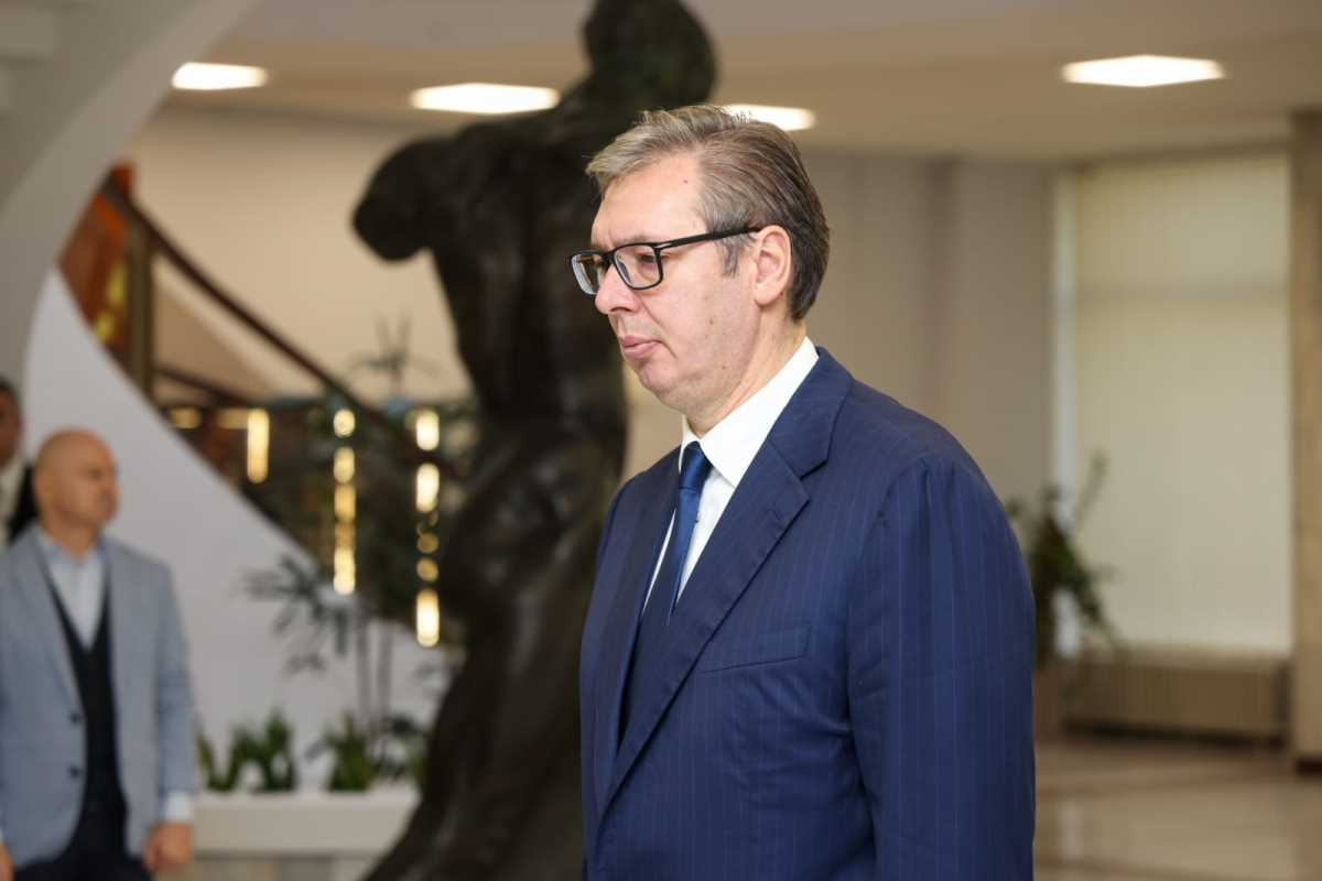 WhatsApp Image 2024-10-17 at 11.23.10 AM.jpeg