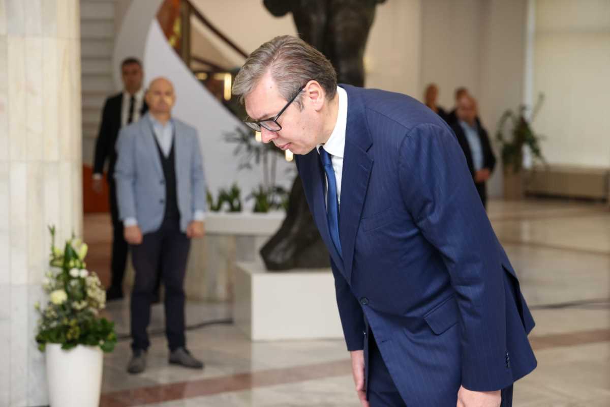 WhatsApp Image 2024-10-17 at 11.23.09 AM.jpeg