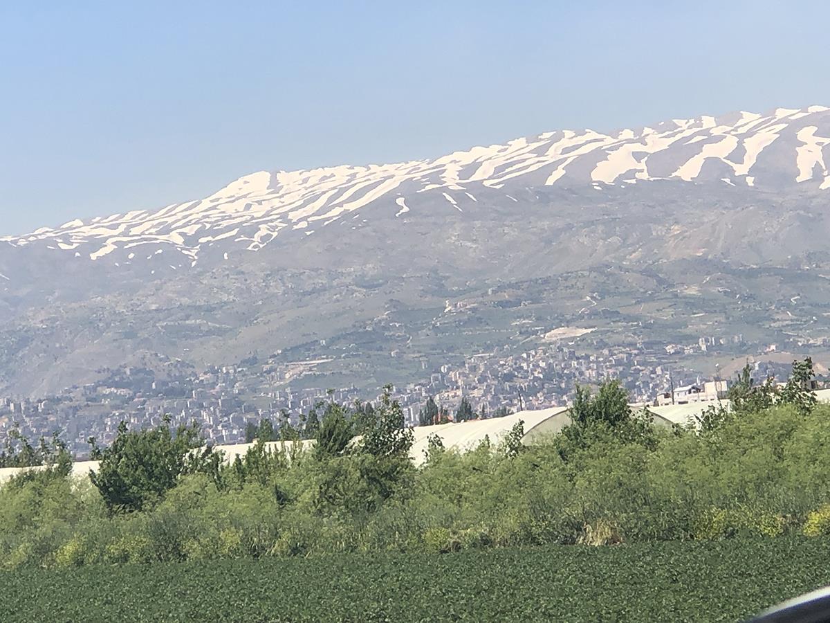 Bejrut je veličanstveni ranjenik