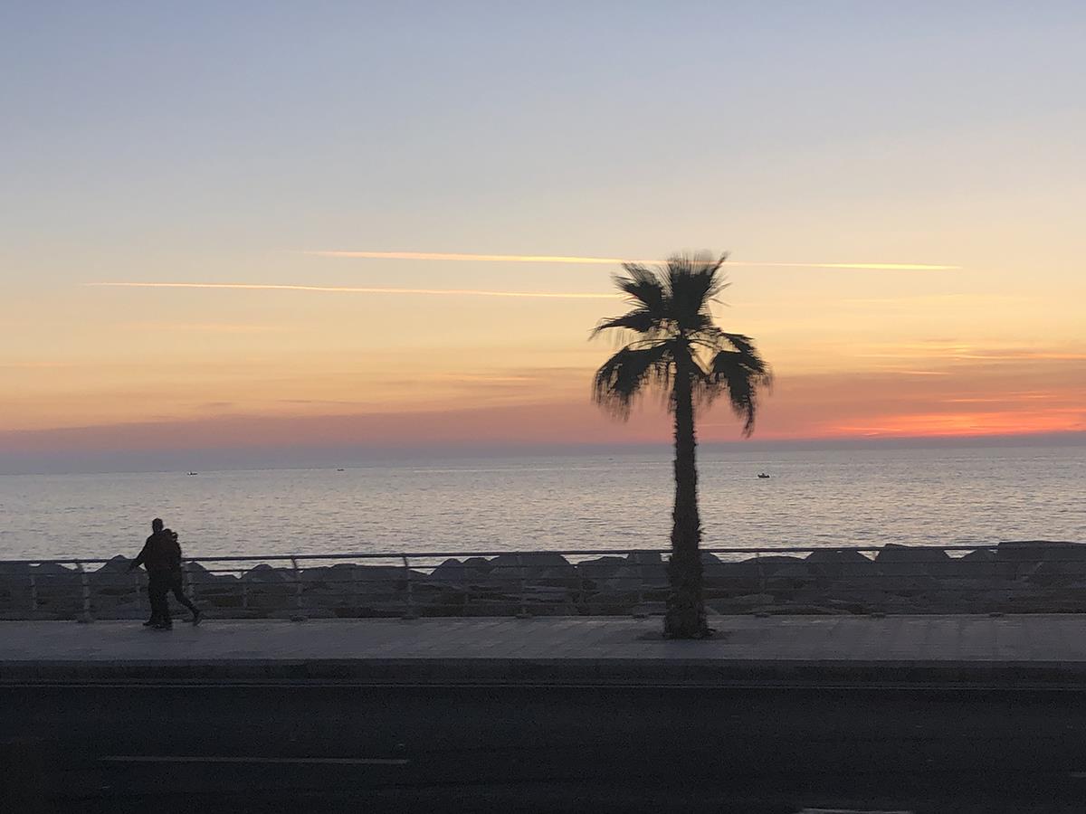 Bejrut je veličanstveni ranjenik