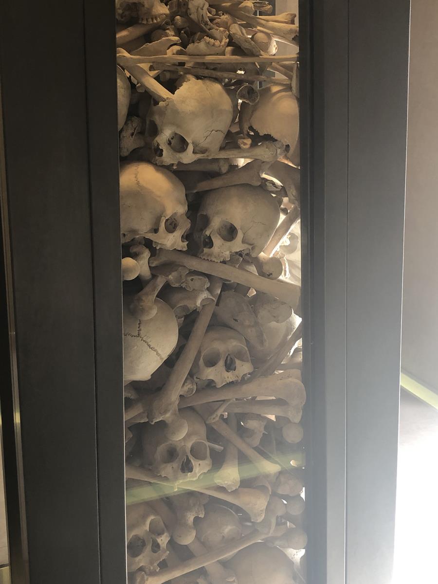 Bejrut je veličanstveni ranjenik