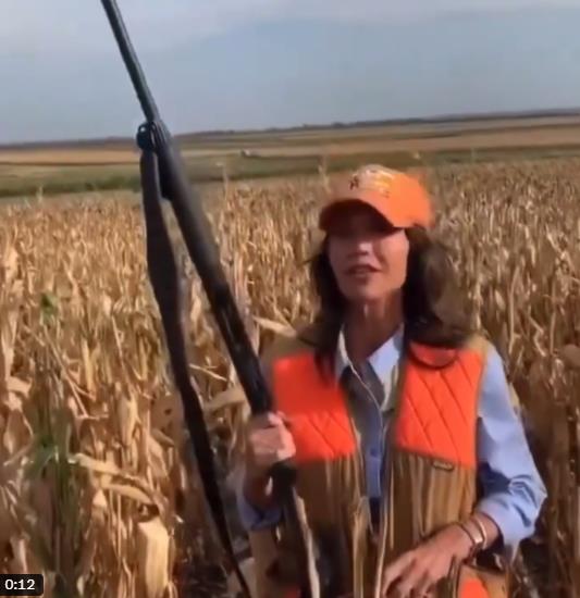 Screenshot 2024-10-20 140926.png