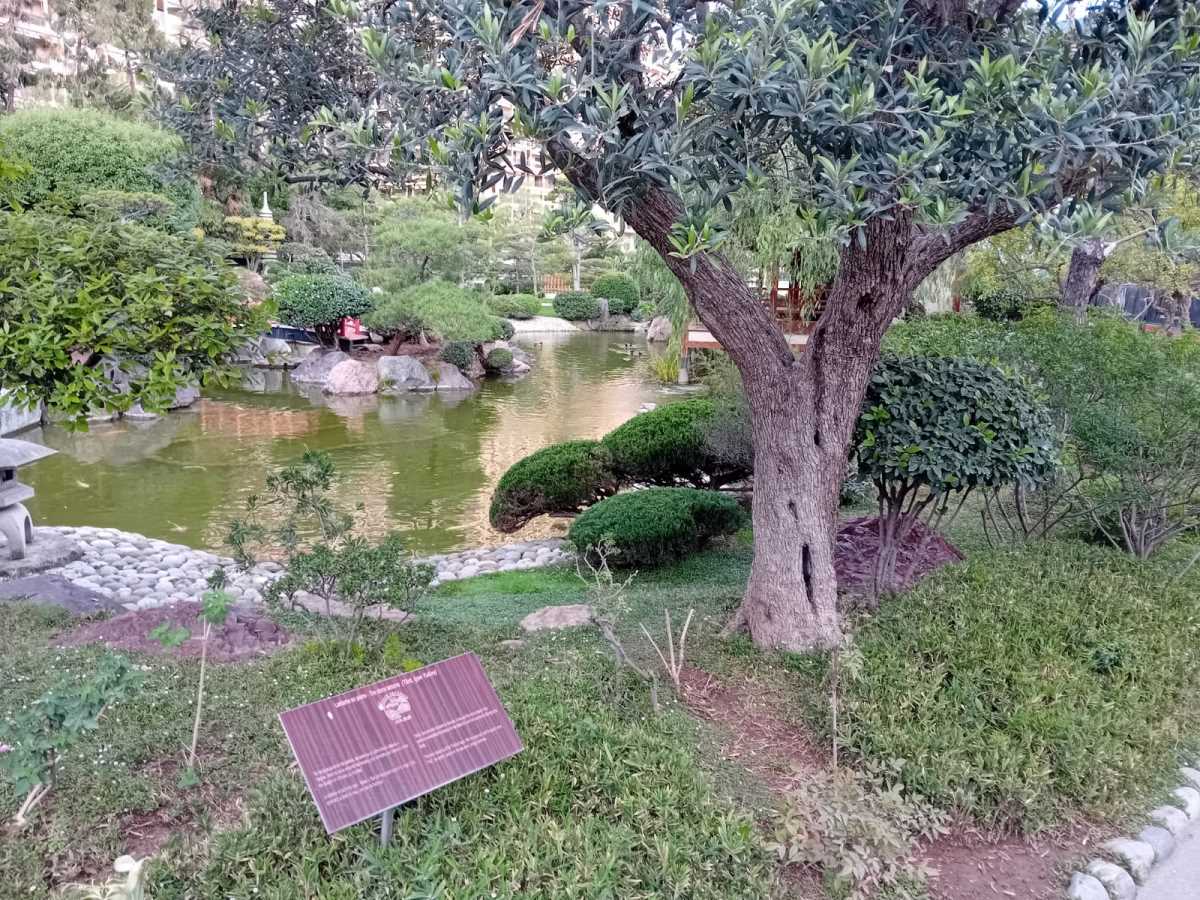 Monte Karlo, japanski vrt (3).jpeg