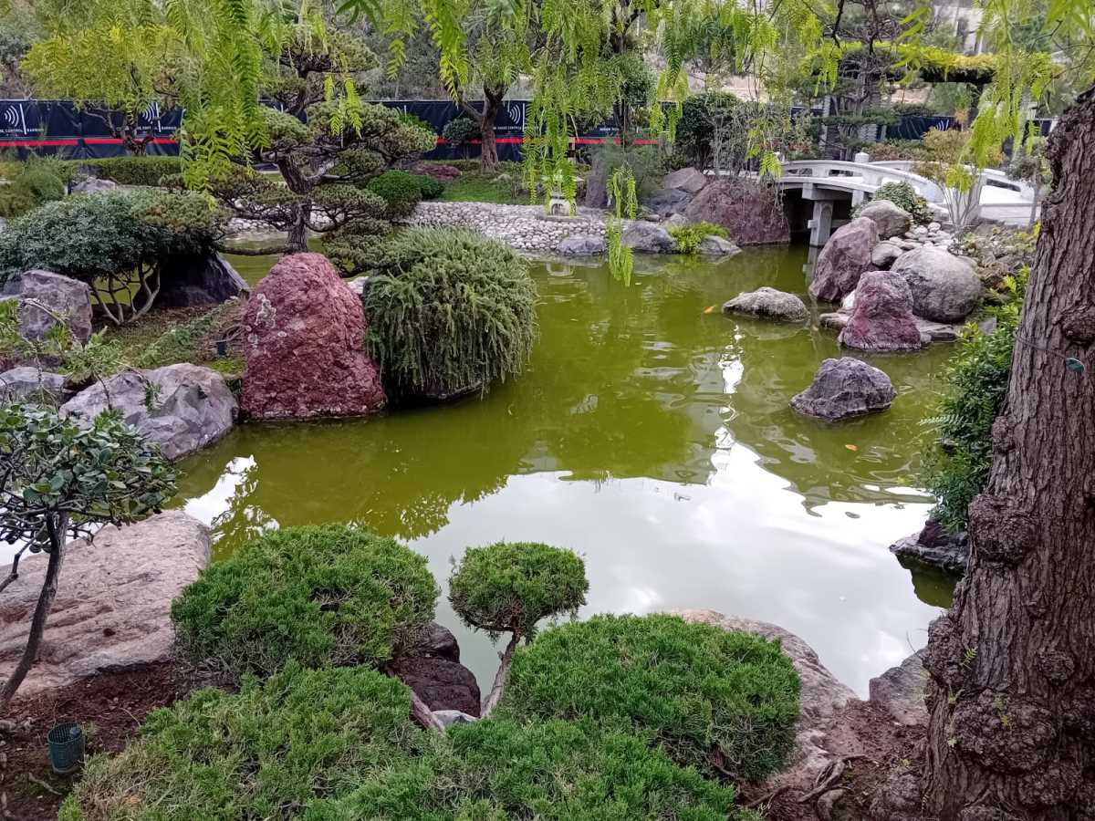 Monte Karlo, japanski vrt (5).jpeg