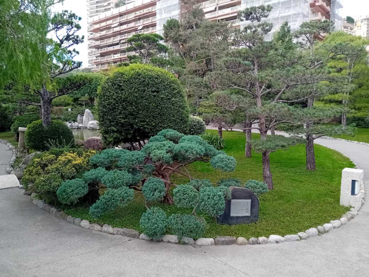 Monte Karlo, japanski vrt (7).jpeg