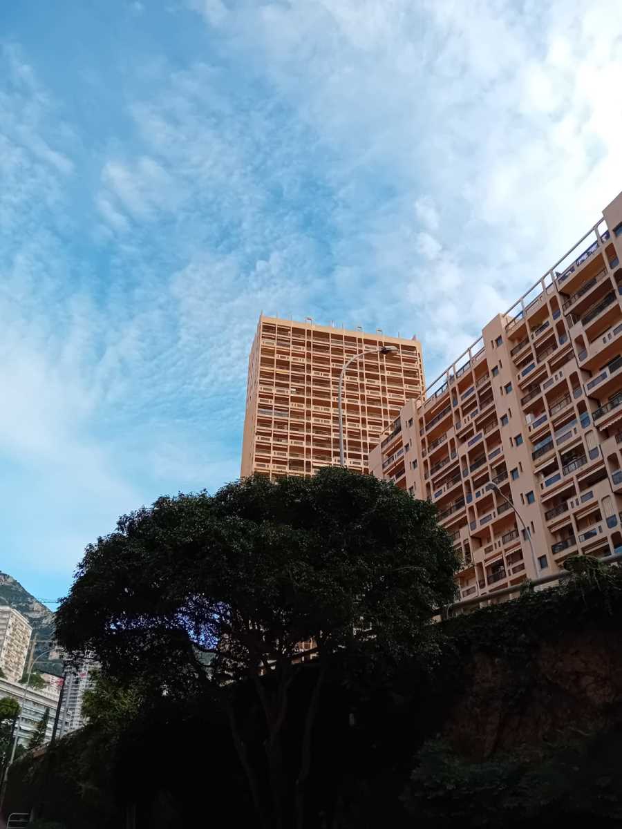 Monte Karlo, japanski vrt (16).jpeg