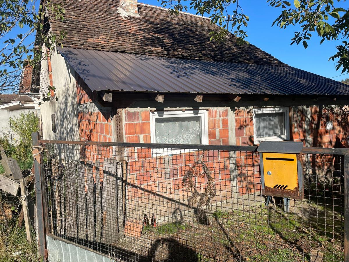 WhatsApp Image 2024-10-22 at 9.59.25 PM (1).jpeg