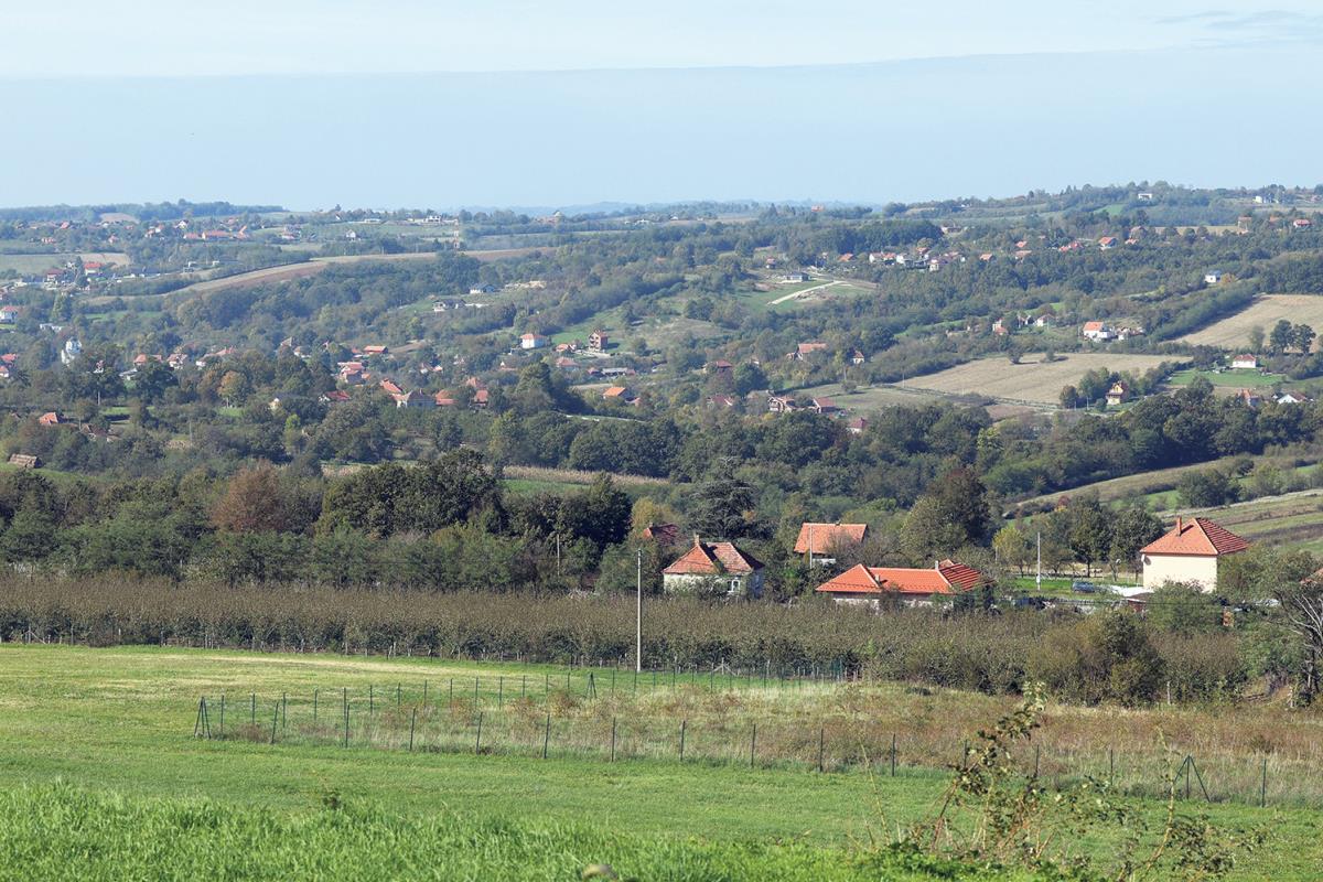 dzoni dep plac kosmaj petar aleksic (3).JPG