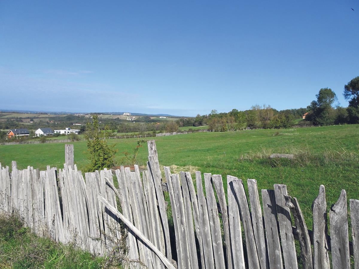 dzoni dep plac kosmaj petar aleksic (4).JPG