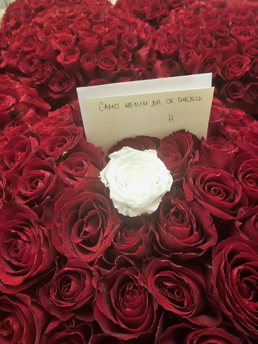 WhatsApp Image 2024-10-23 at 8.13.46 PM.jpeg