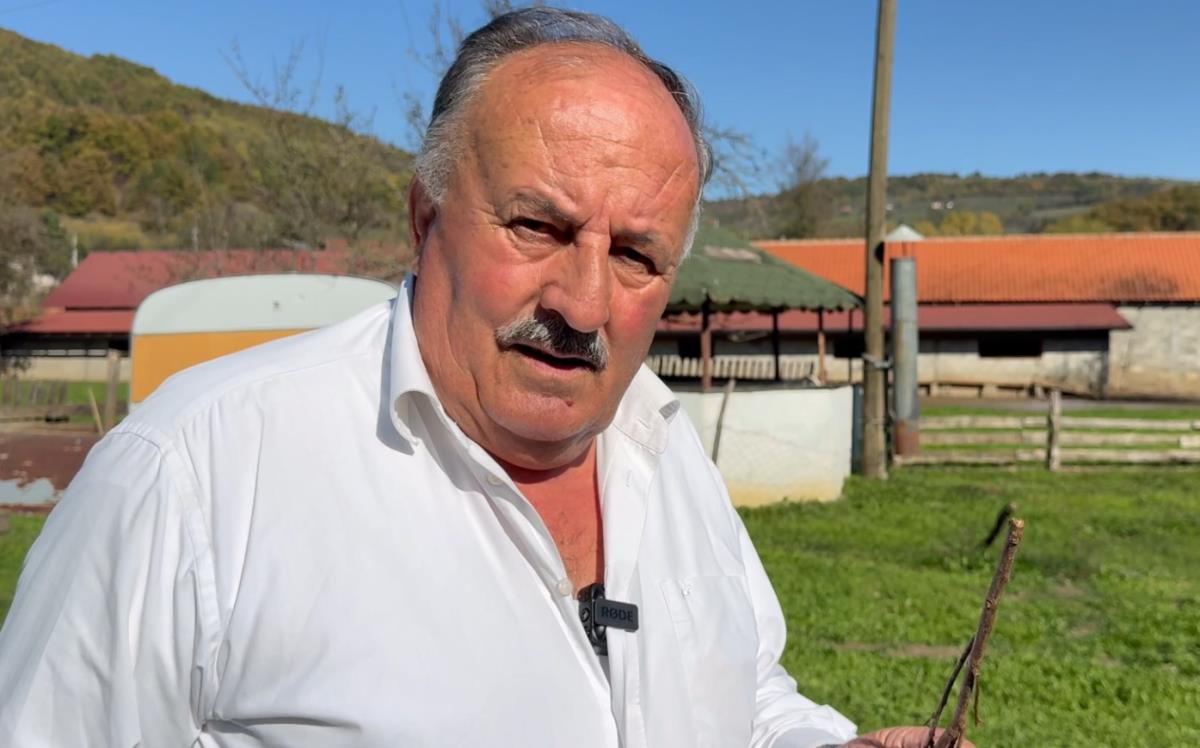 Screenshot 2024-10-23 212253.jpg