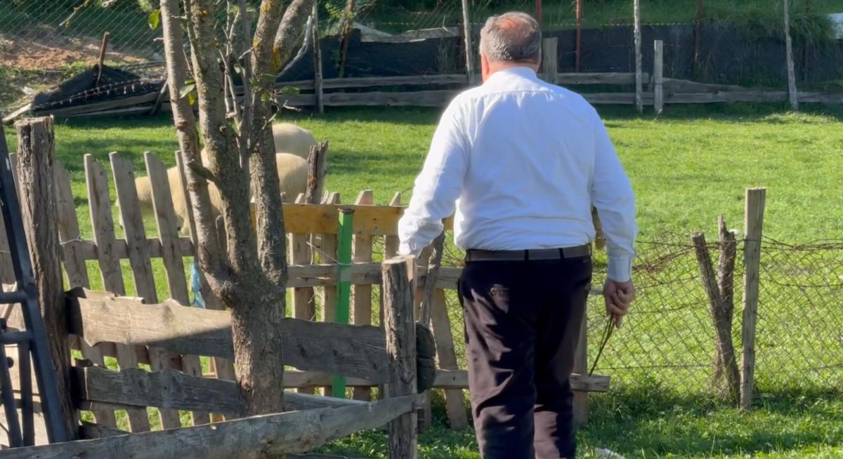 Screenshot 2024-10-23 212344.png