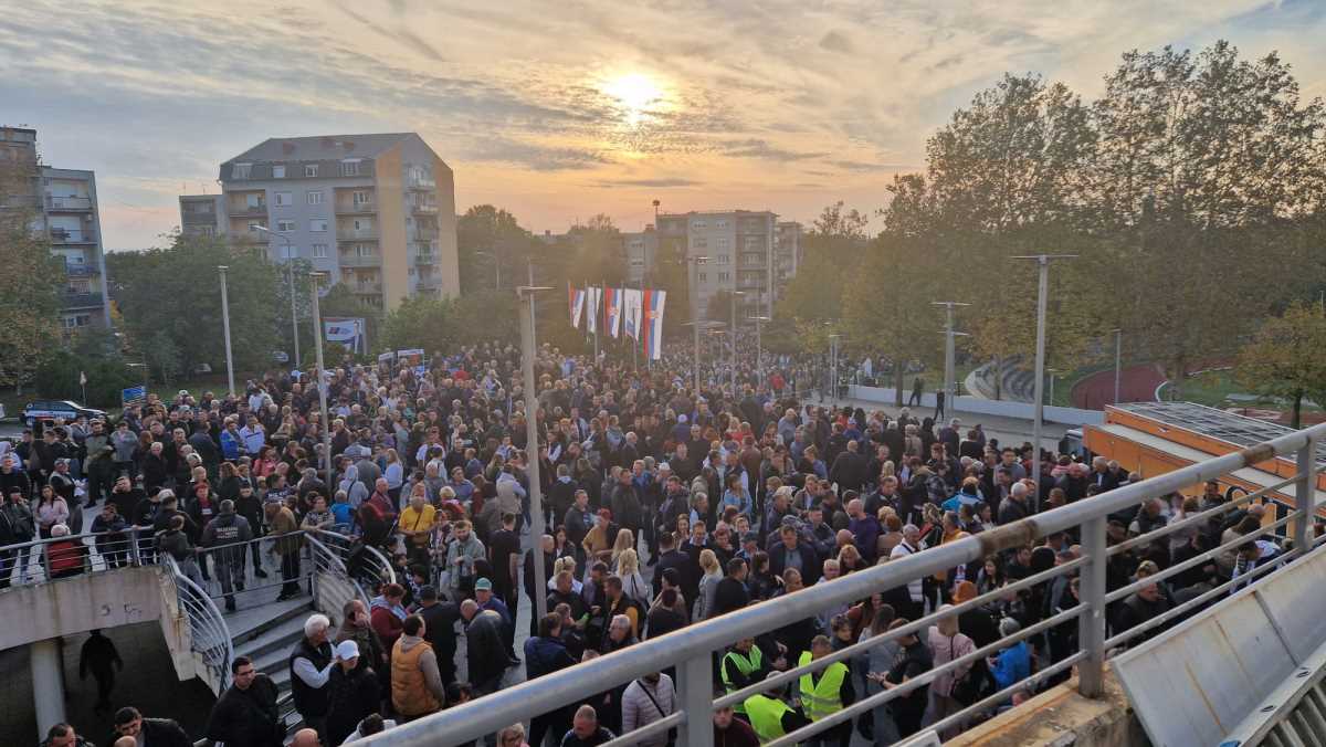 WhatsApp Image 2024-10-24 at 7.06.44 PM.jpeg