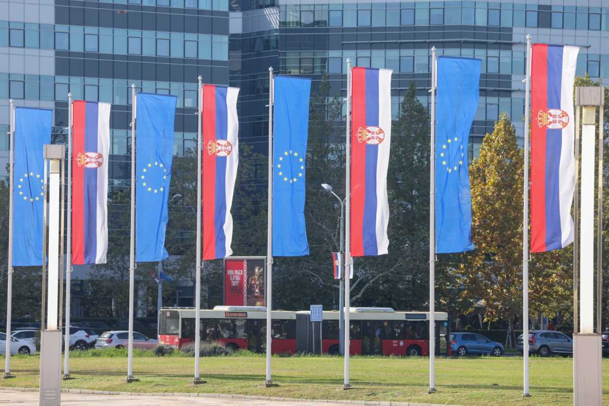 WhatsApp Image 2024-10-25 at 1.10.45 PM.jpeg