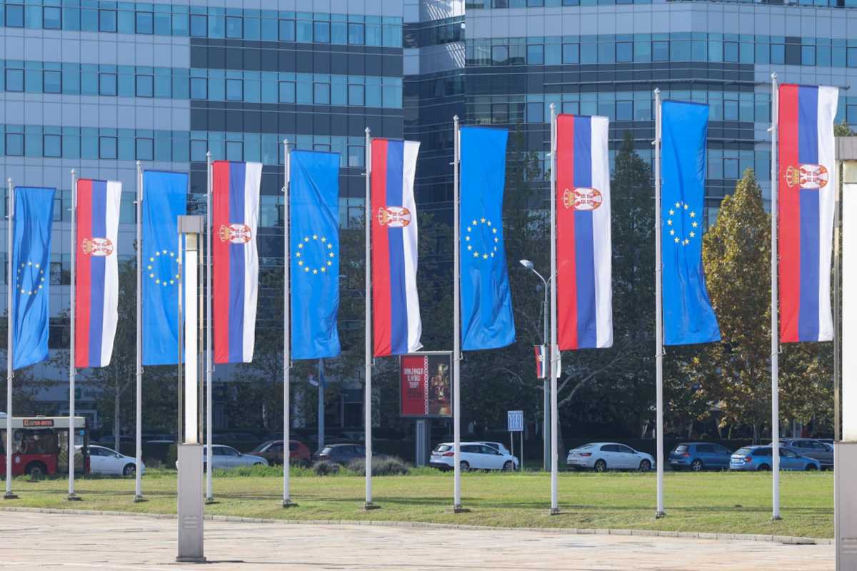 WhatsApp Image 2024-10-25 at 1.10.46 PM (2).jpeg