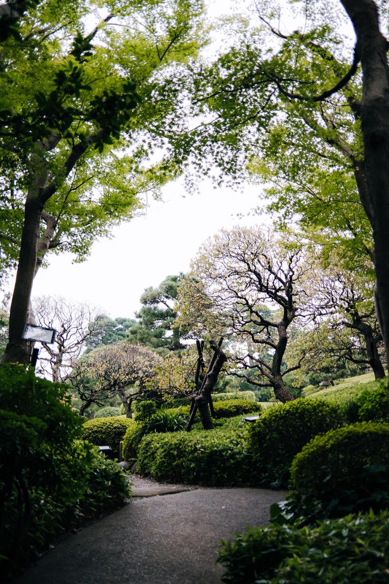 warp_ iqos - 062.jpg