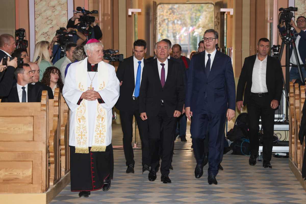 WhatsApp Image 2024-10-28 at 4.12.15 PM (1).jpeg