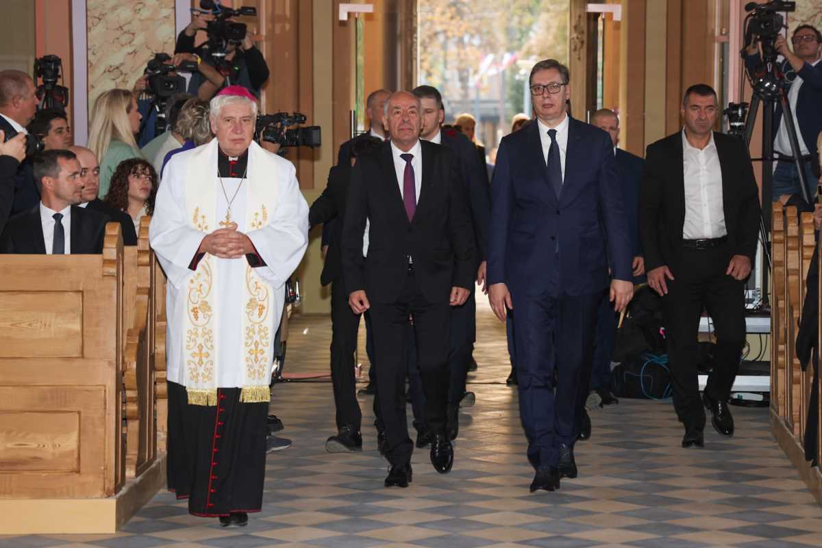 WhatsApp Image 2024-10-28 at 4.12.14 PM (1).jpeg