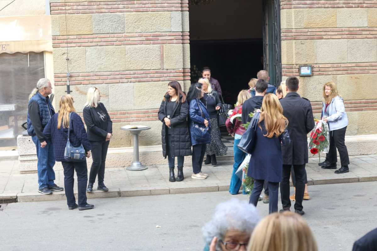 WhatsApp Image 2024-10-29 at 11.36.08 AM.jpeg