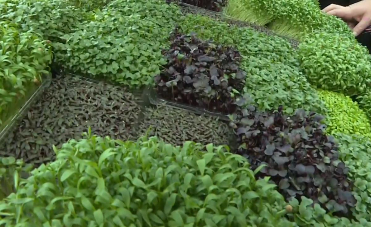 Screenshot 2024-10-30 121452.png