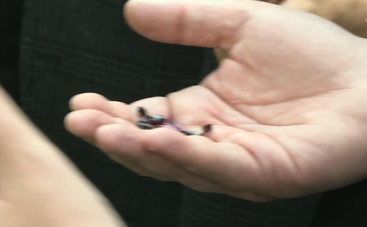 Screenshot 2024-10-30 121938.png