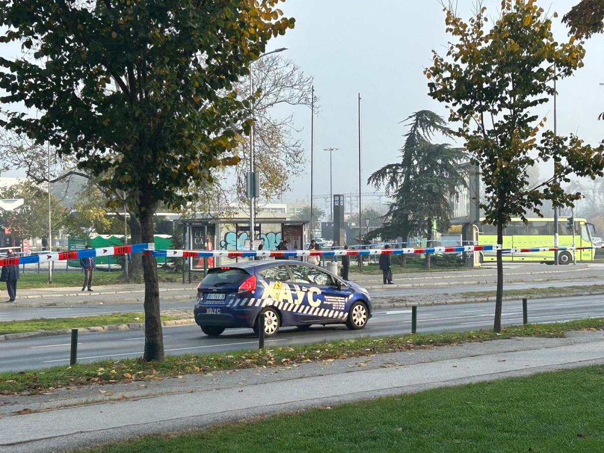 WhatsApp Image 2024-11-02 at 08.04.05_53cb0080.jpg