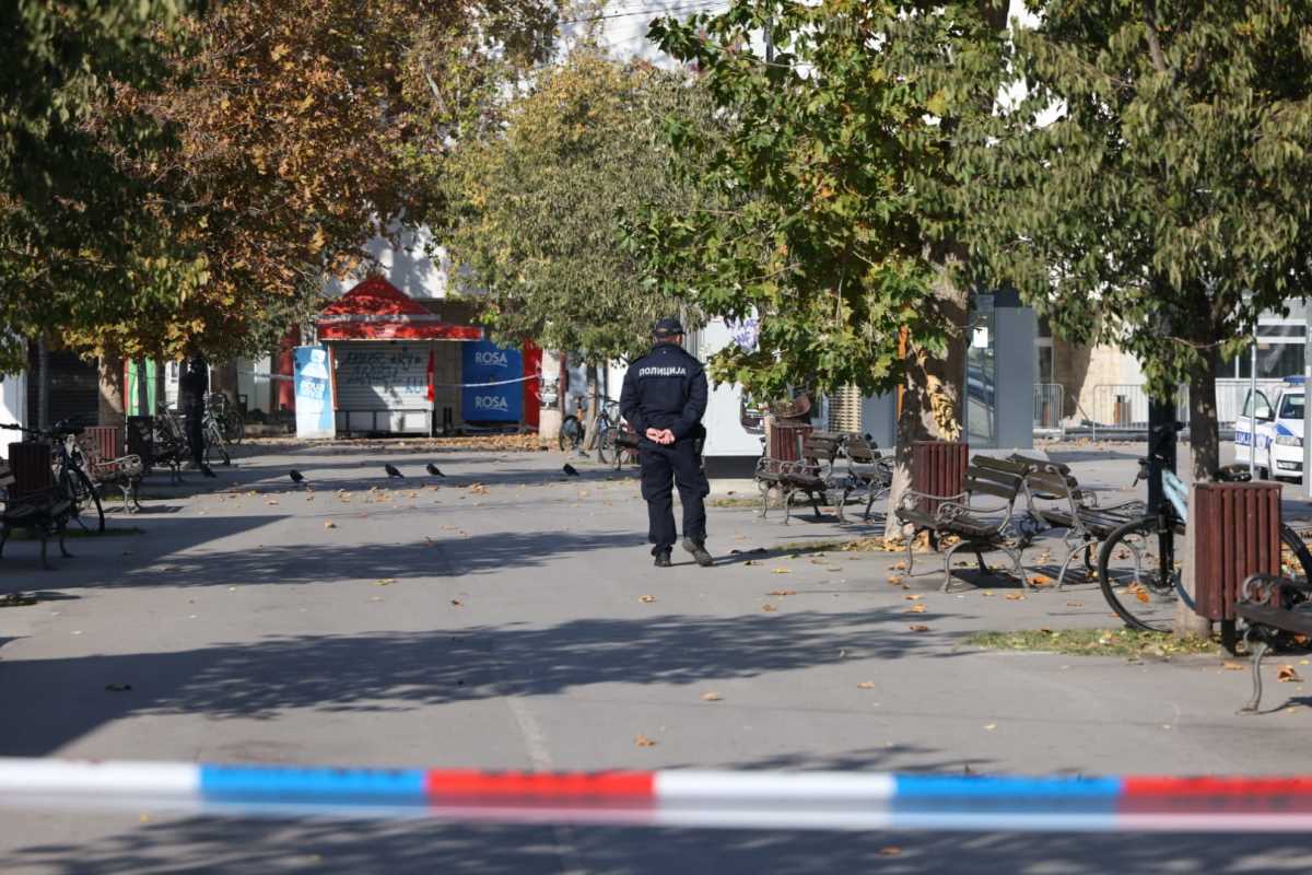 WhatsApp Image 2024-11-02 at 12.22.38 PM (2).jpeg