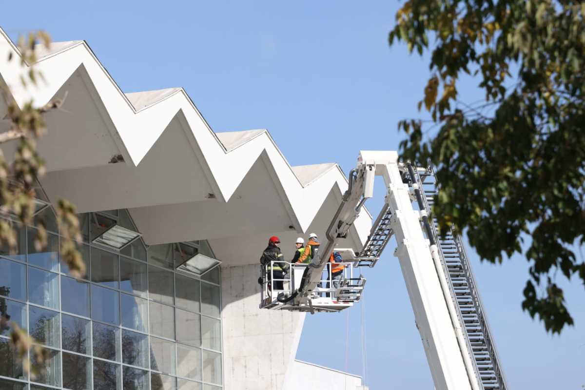 WhatsApp Image 2024-11-02 at 12.22.37 PM (1).jpeg