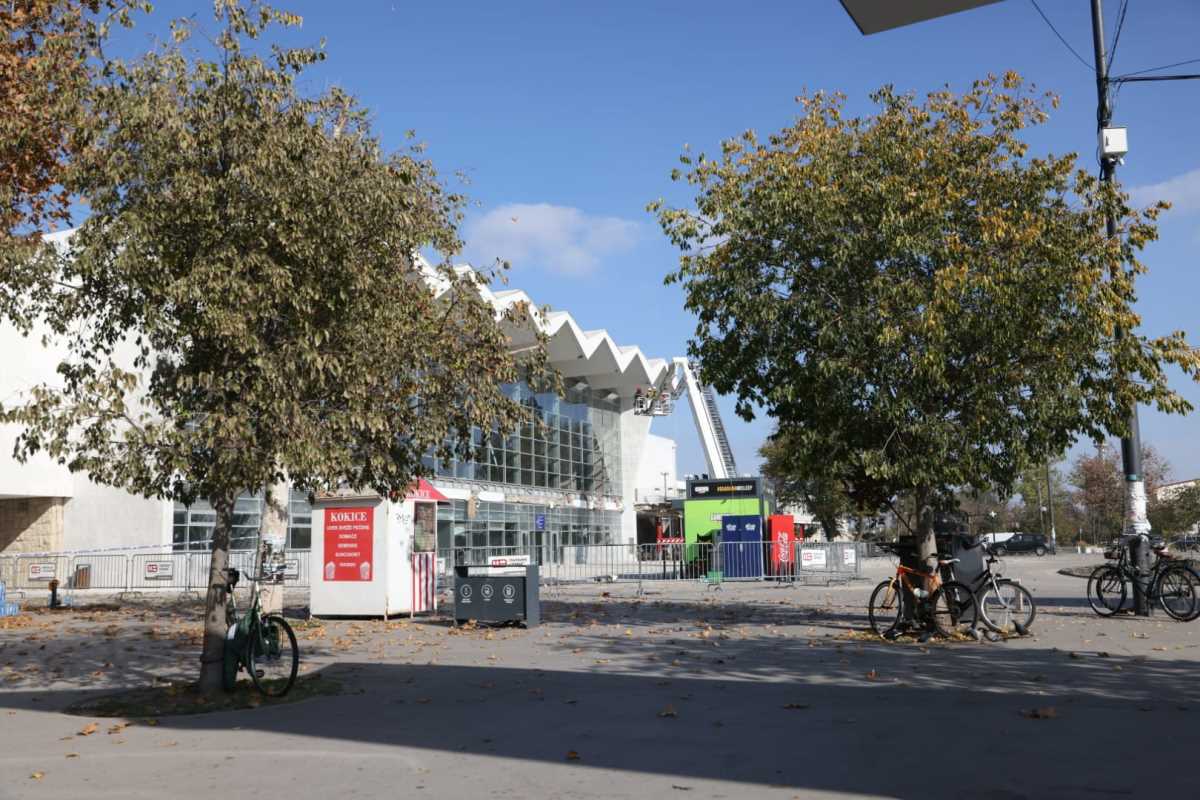 WhatsApp Image 2024-11-02 at 12.22.37 PM.jpeg