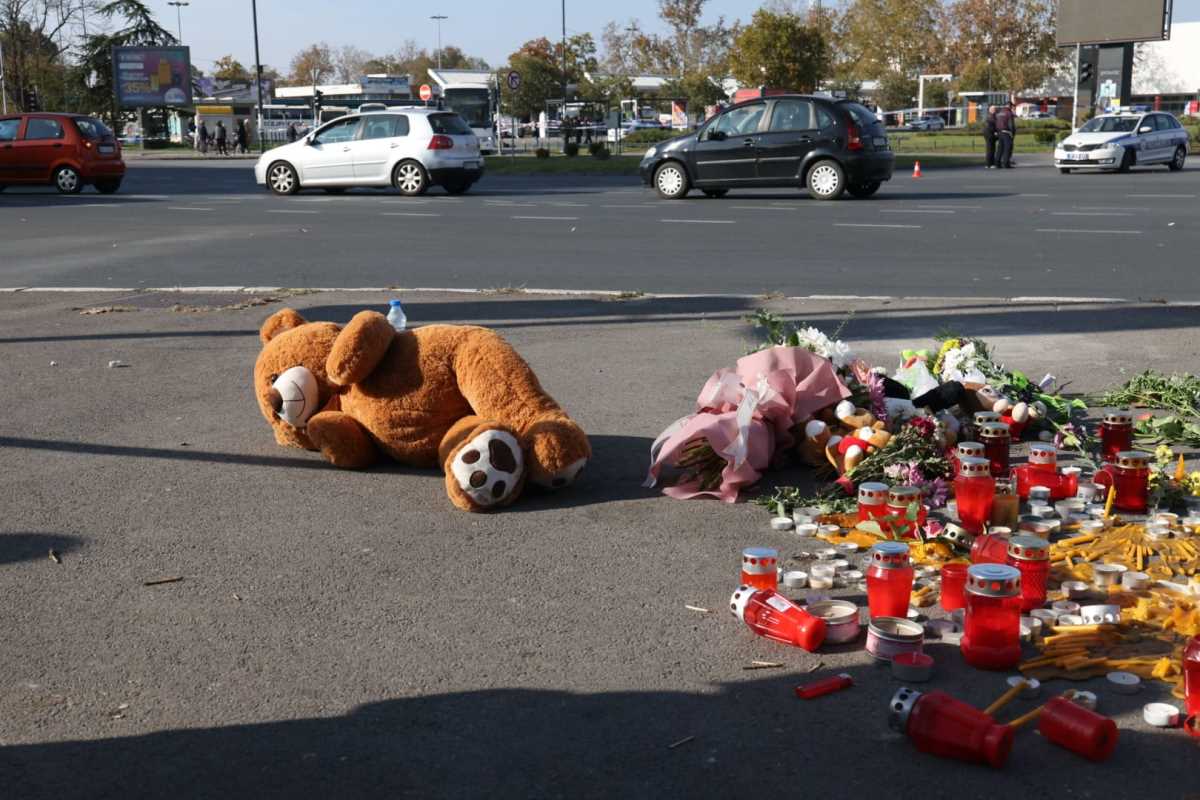 WhatsApp Image 2024-11-02 at 12.49.12 PM (1).jpeg