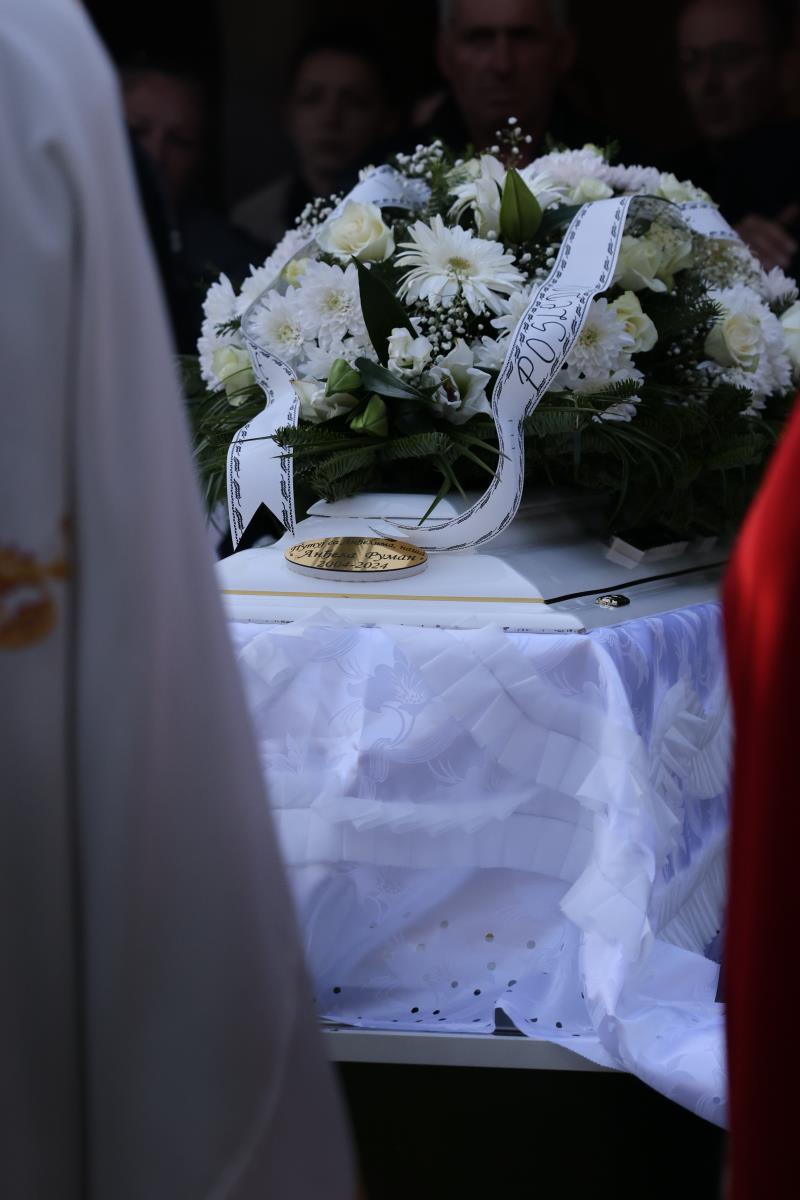 WhatsApp Image 2024-11-04 at 2.45.53 PM.jpeg