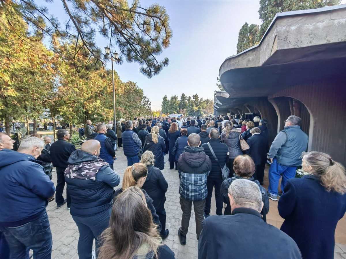 WhatsApp Image 2024-11-04 at 14.59.31_1ae42c6f.jpg